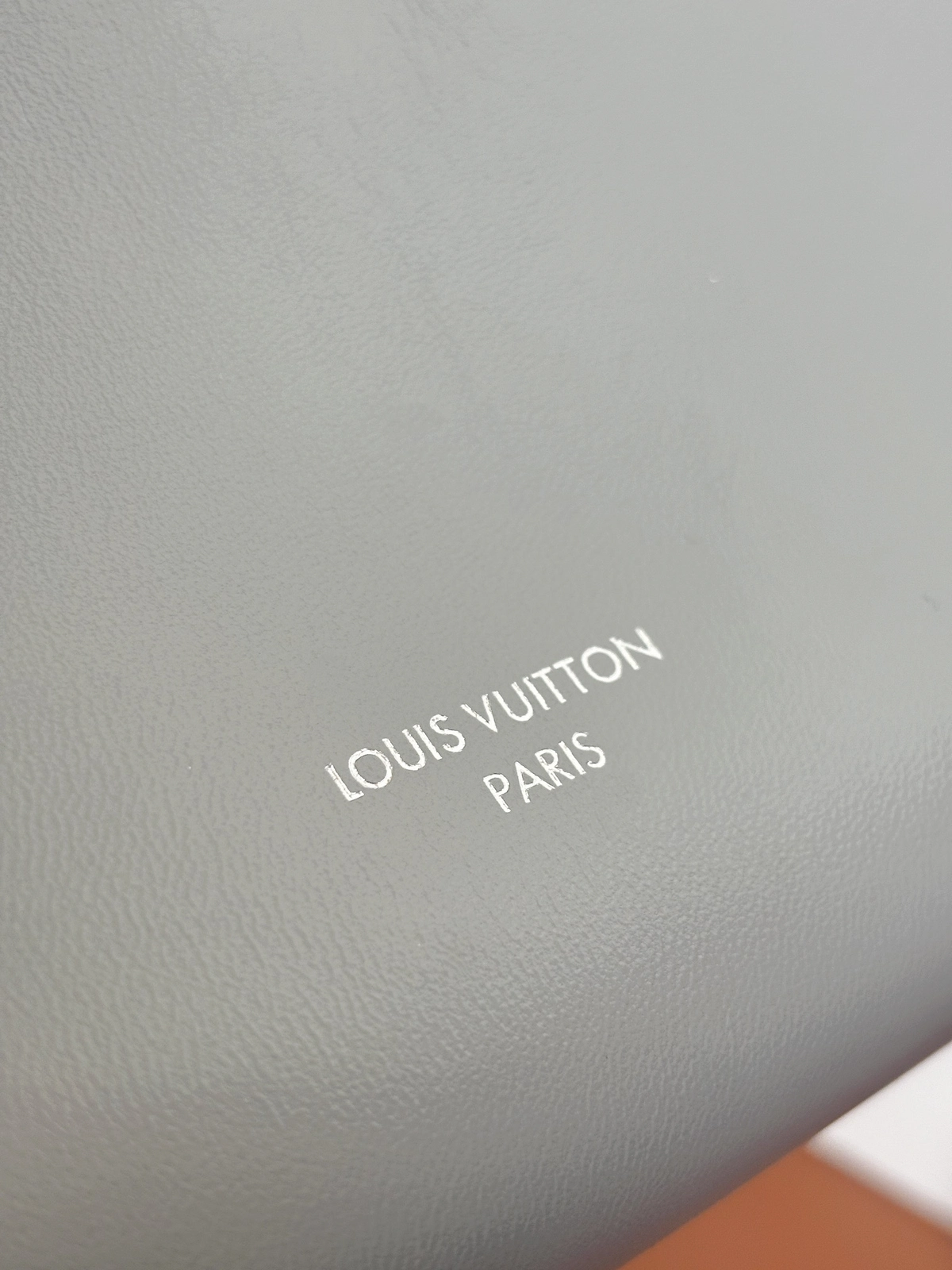 高仿包包 LV CarryAll Cargo Vibe PM 灰色 m12579 實拍照片 LOGO