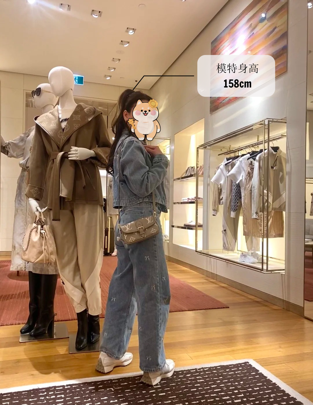 高仿包包 LV Nano Diane法棍包 大象灰老花 M83300 上身效果 模特158