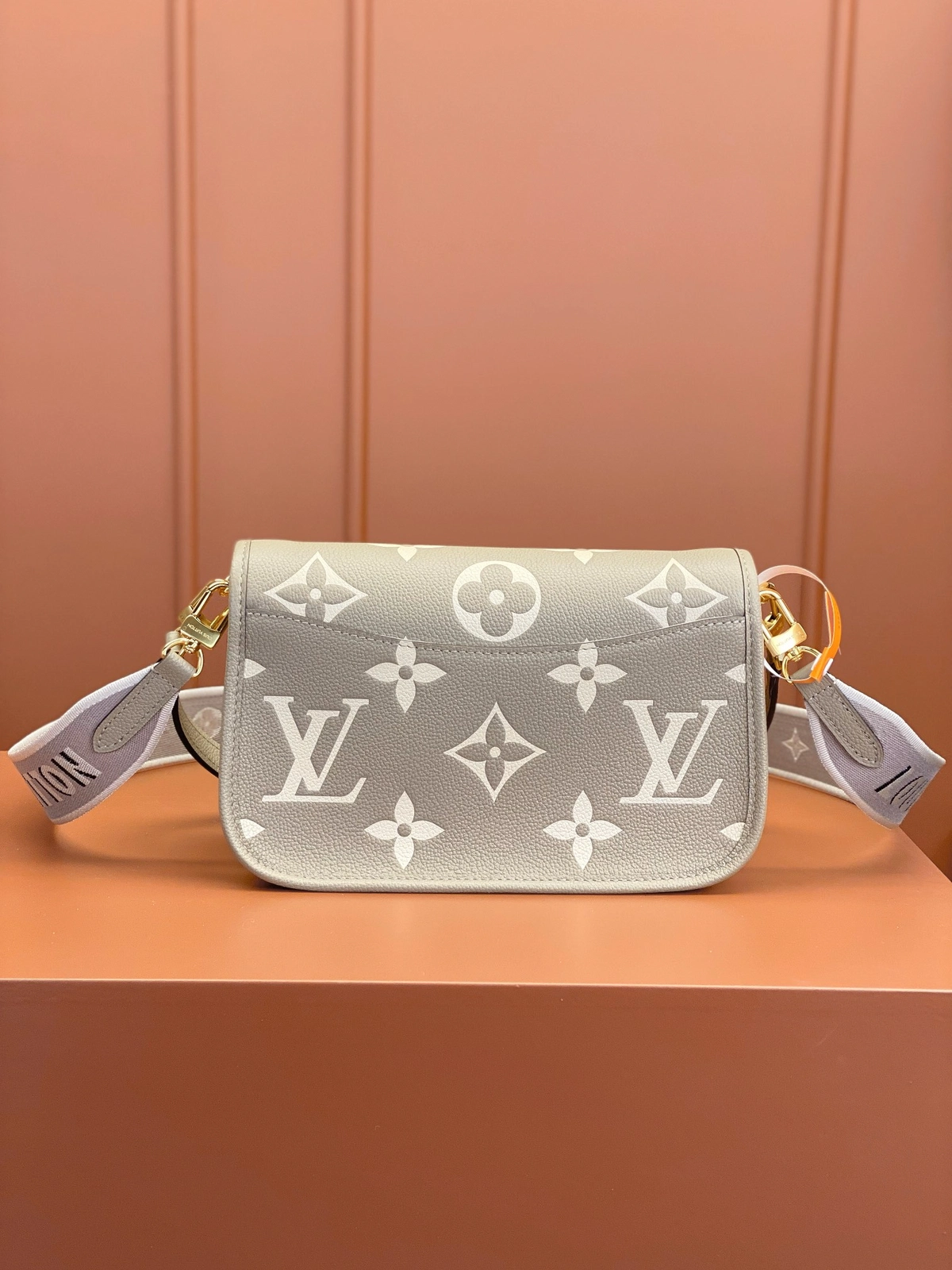 高仿包包 LV Nano Diane法棍包 大象灰色壓花 M46583 實拍照片背面